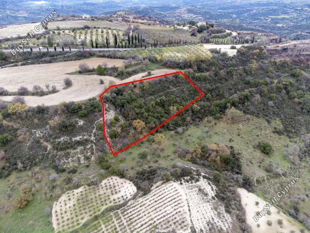 110257 SQM Land for sale in Agios Dimitrianos, Paphos 15869174