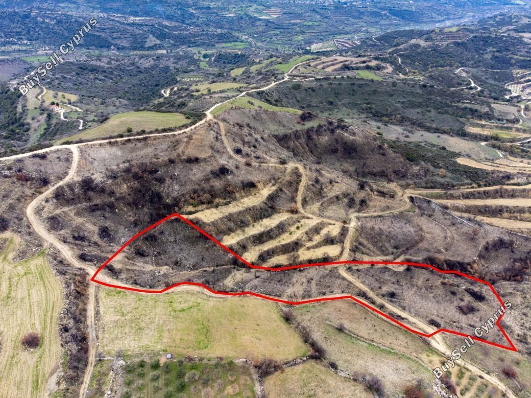 land for sale agios dimitrianos paphos 839943 image 15869166