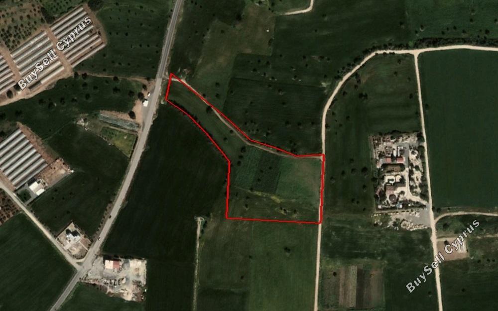 land for sale mazotos larnaca 830943 image 1056722