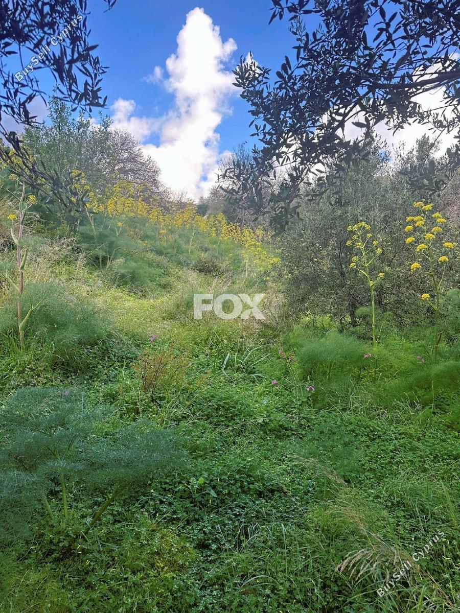 land for sale tremithousa paphos 1160943 image 10031689