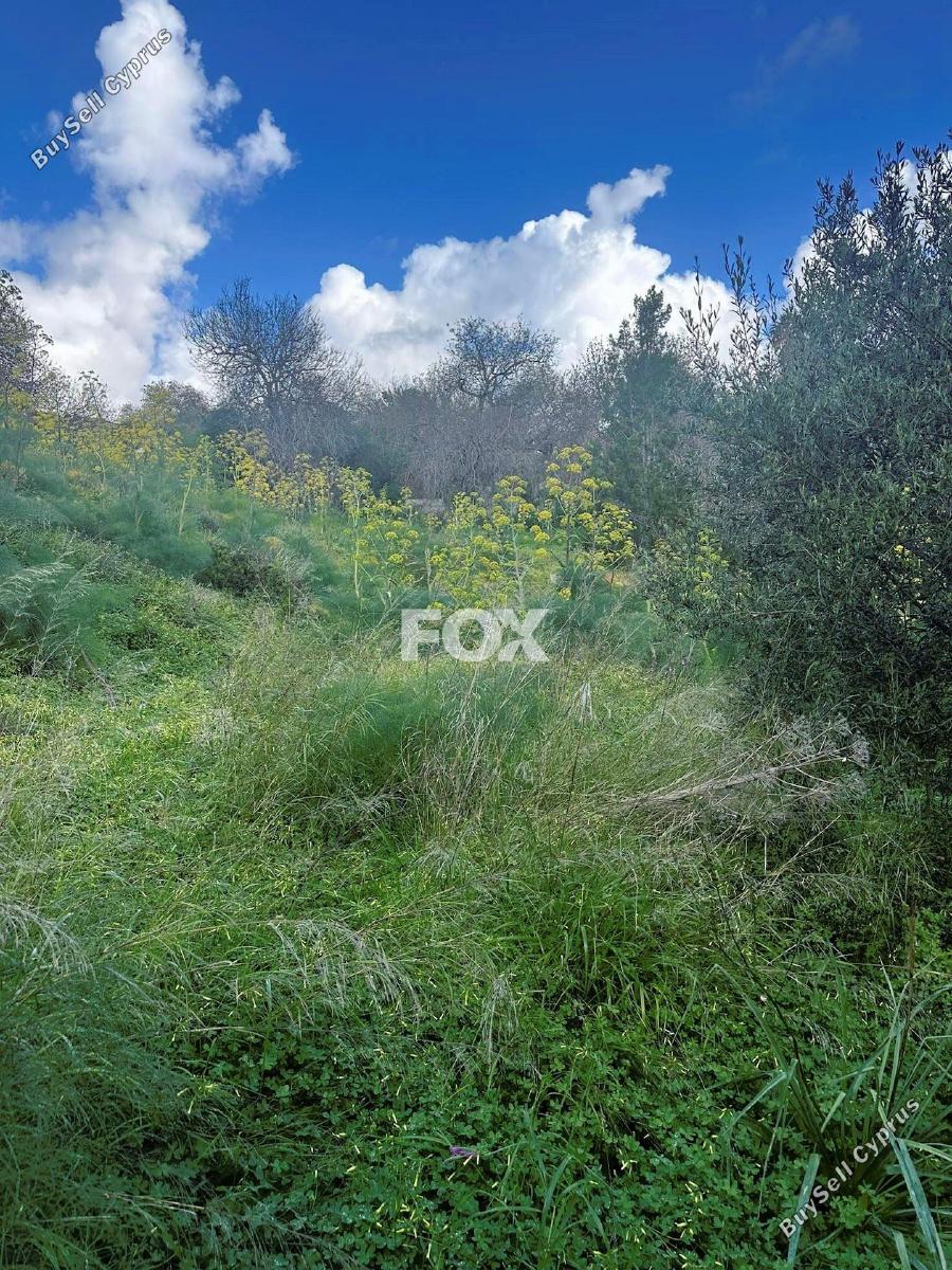 land for sale tremithousa paphos 1160943 image 10031692