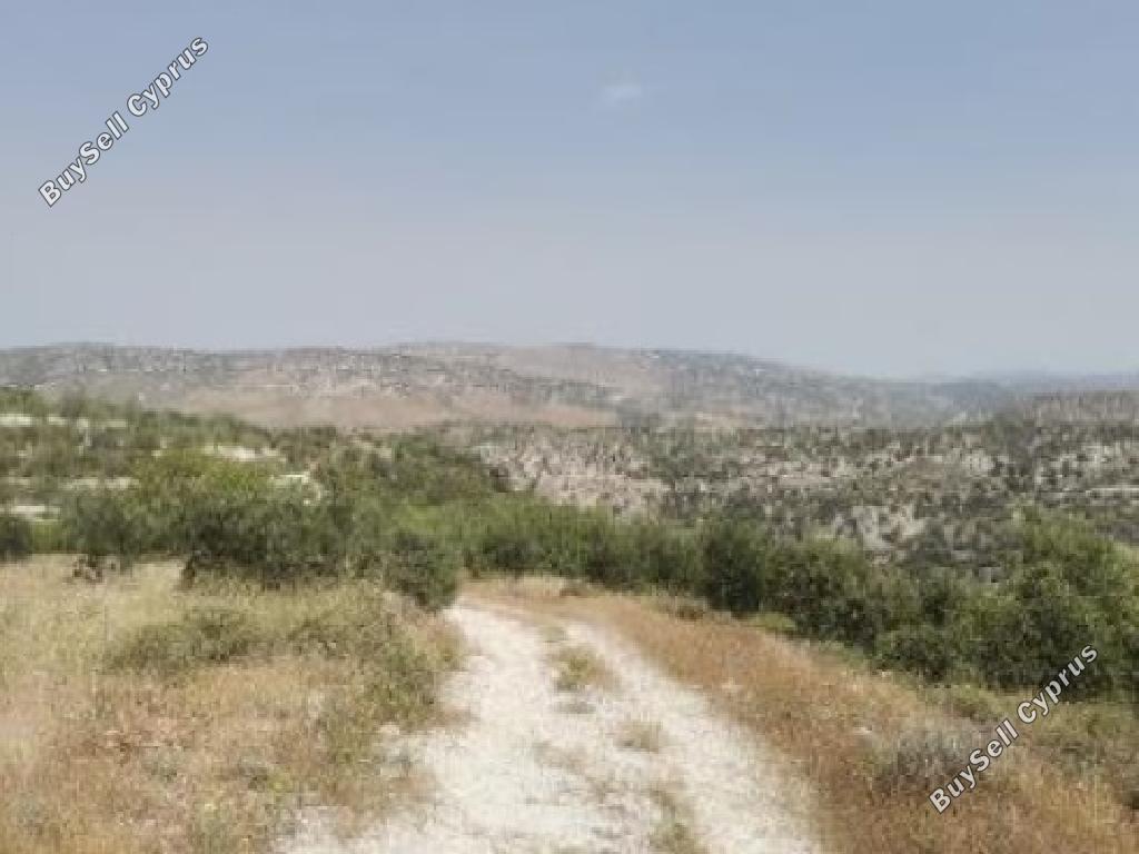 6689 SQM Land for sale in Choulou, Paphos 16718012