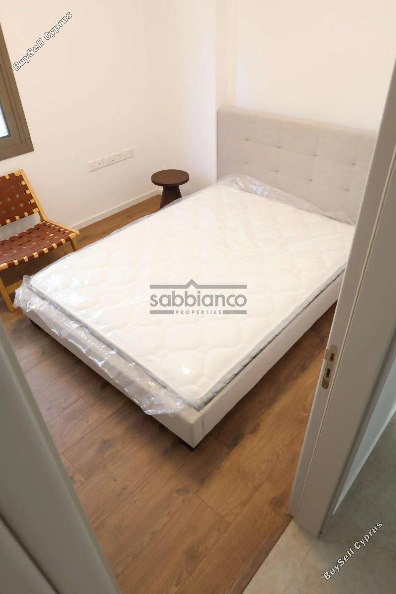 2 bedroom apartment for rent agios dometios nicosia 8749053 image 16471275