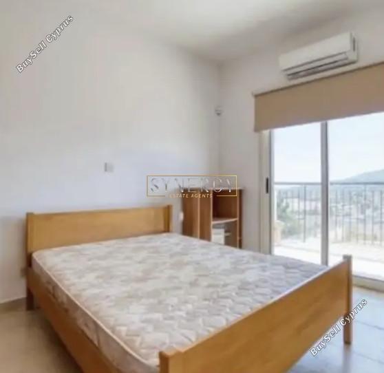 3 bedroom detached house for rent monagroulli limassol 8275053 image 17489277