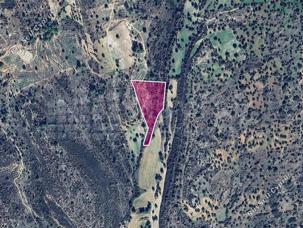 land for sale anogyra limassol 7873053 image 11388886