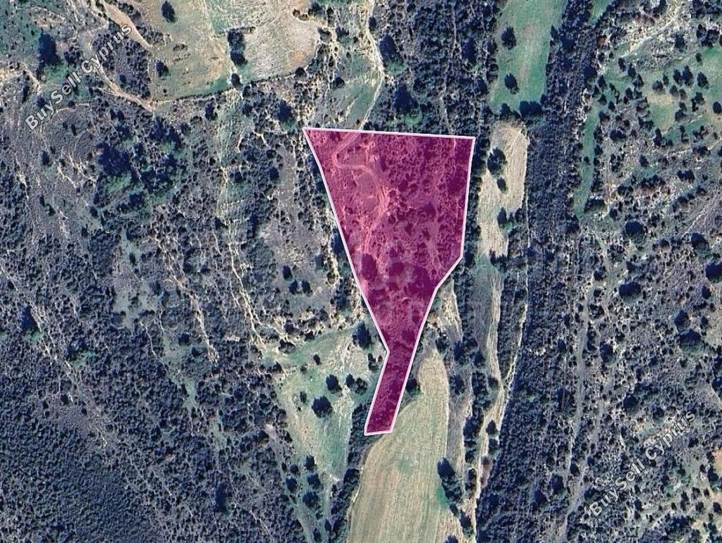 land for sale anogyra limassol 7873053 image 11388888