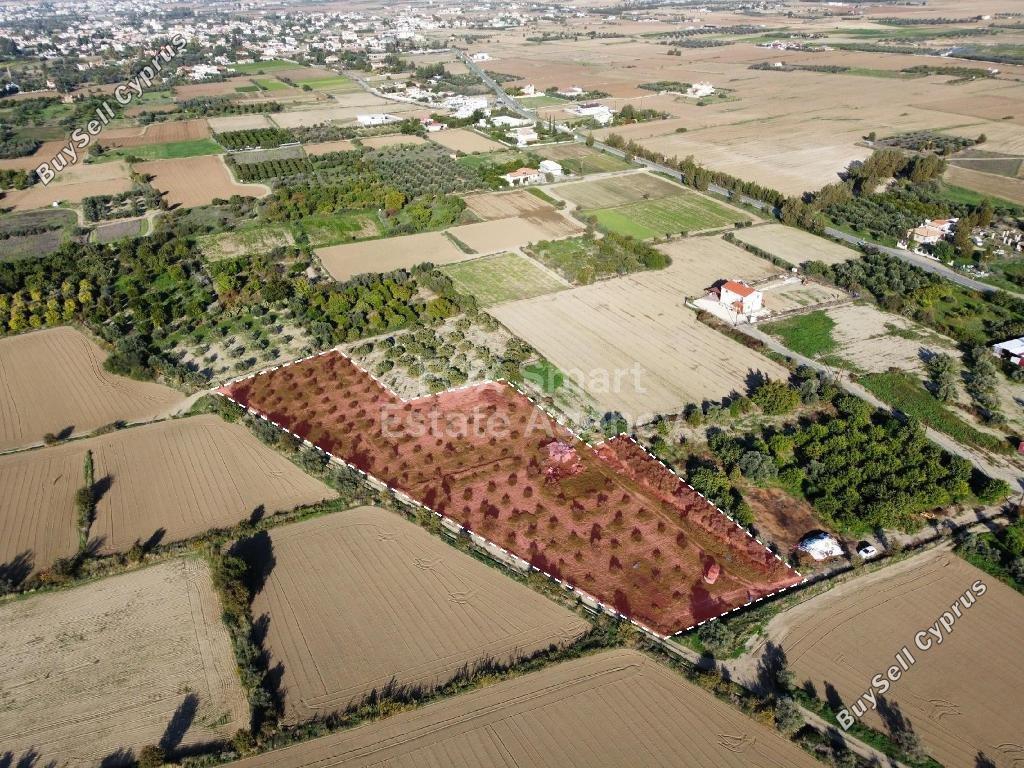 land for sale pera orinis nicosia 8645053 image 15928016