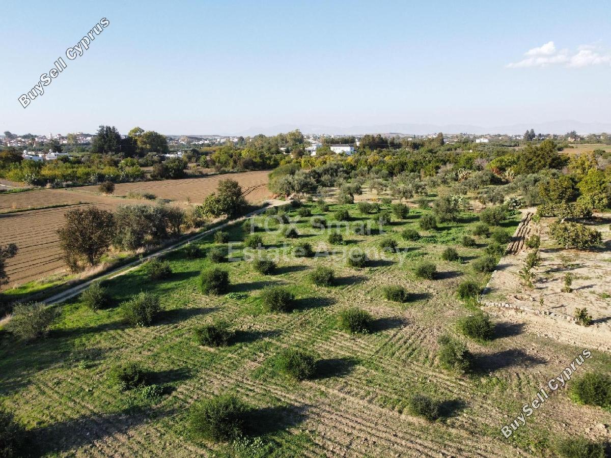 land for sale pera orinis nicosia 8645053 image 15928018