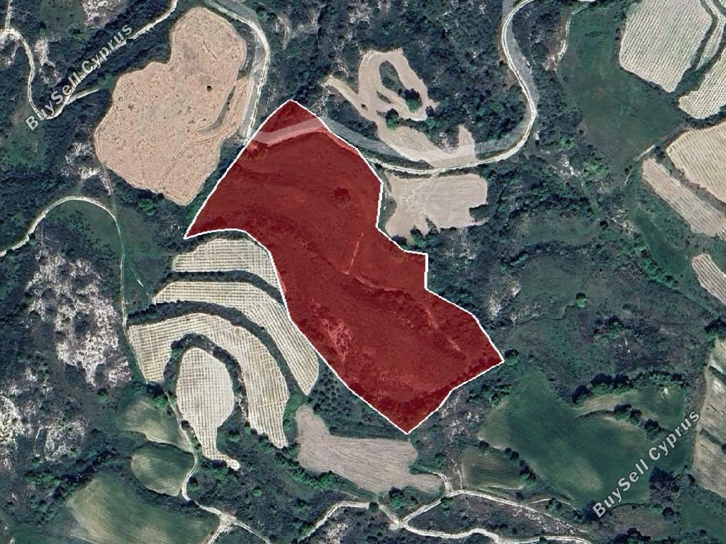land for sale theletra paphos 1723053 image 4609635