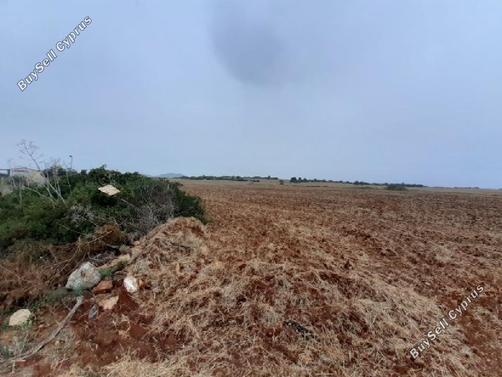 land for sale agios theodoros larnacas larnaca 957153 image 15603214