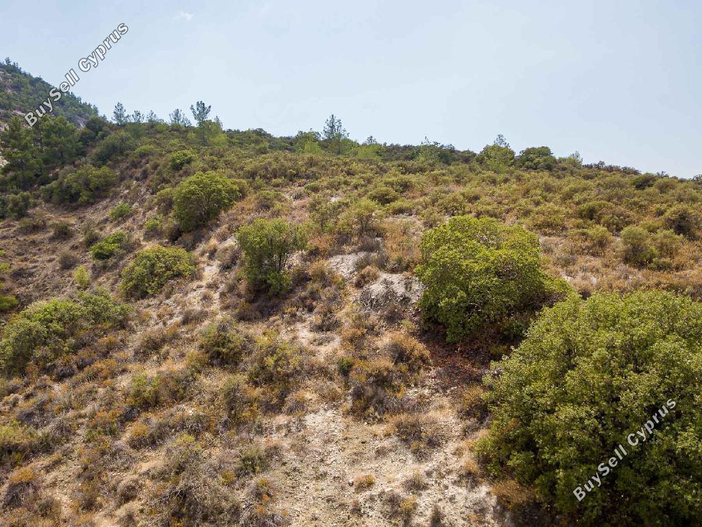 land for sale trimiklini limassol 7495153 image 15596963