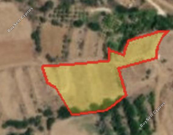 plot for sale pomos paphos 1470153 image 12654460