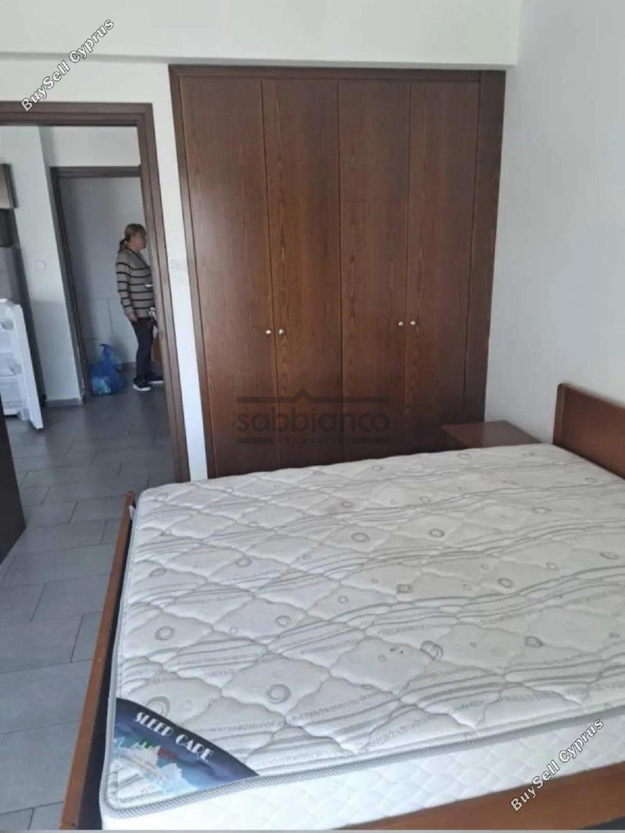 1 bedroom apartment for rent kato lakatamia nicosia 8749253 image 16474301