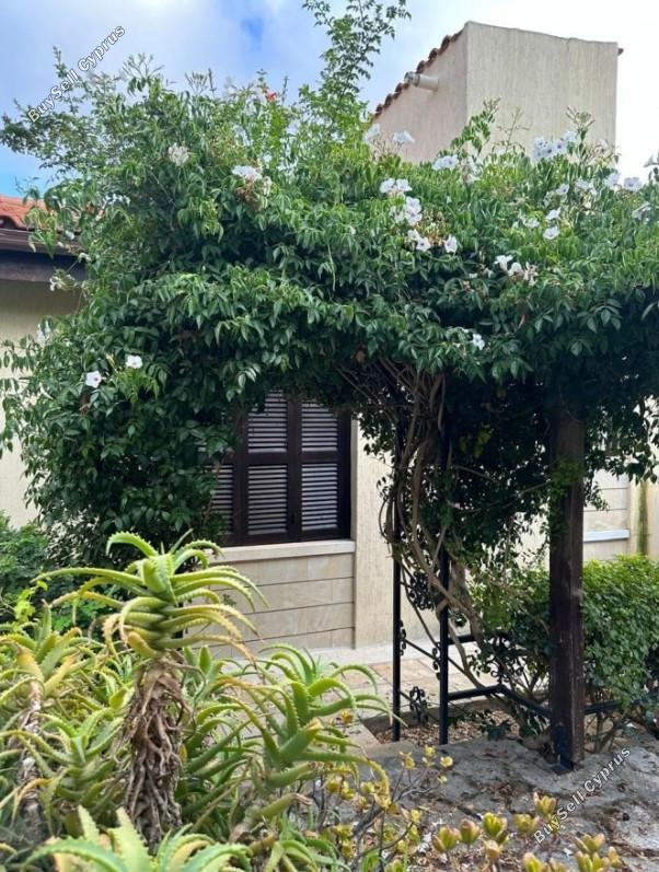 3 bedroom detached house for sale tala paphos 8607253 image 15776393