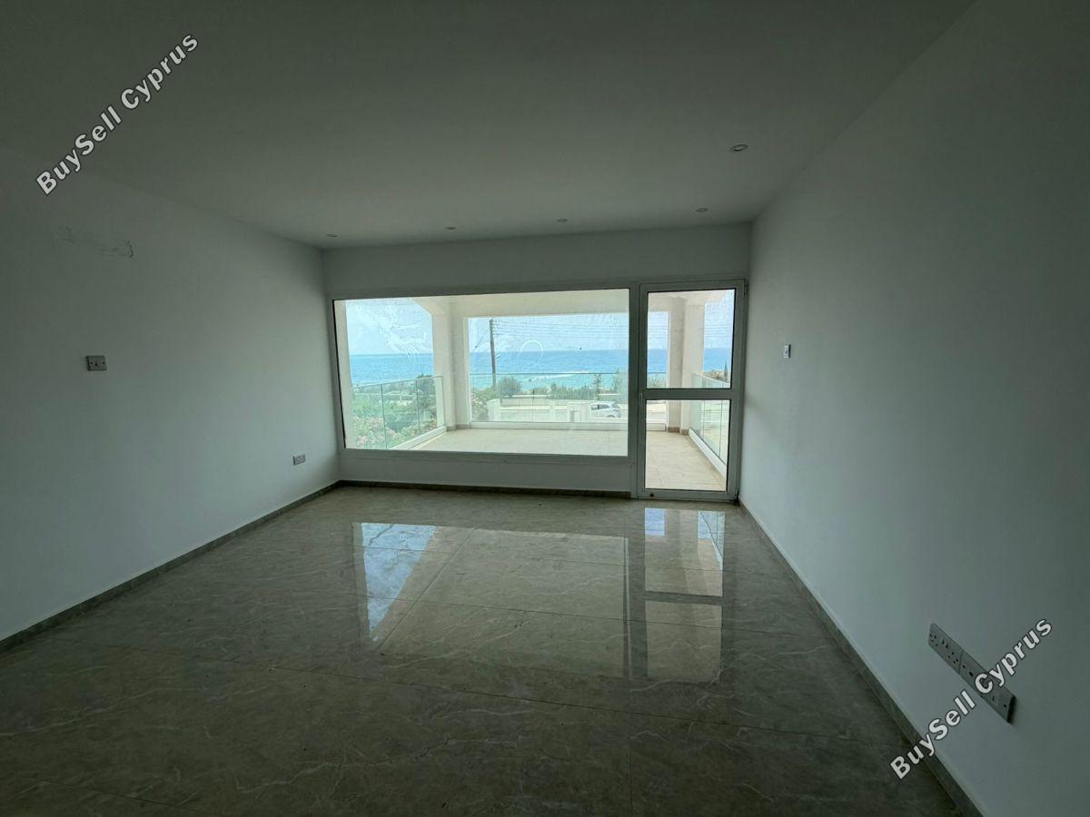 4 bedroom detached house for rent coral bay paphos 8842253 image 17069714