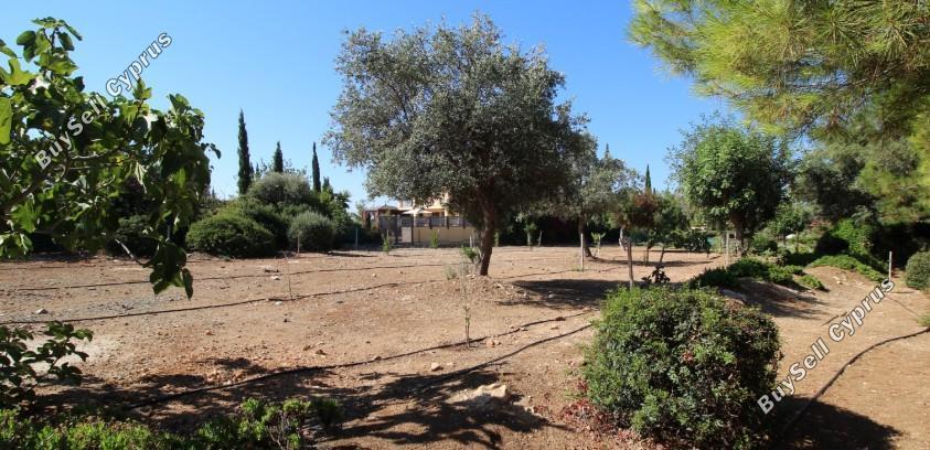 3 bedroom detached house for sale aphrodite hills paphos 1798353 image 15008375