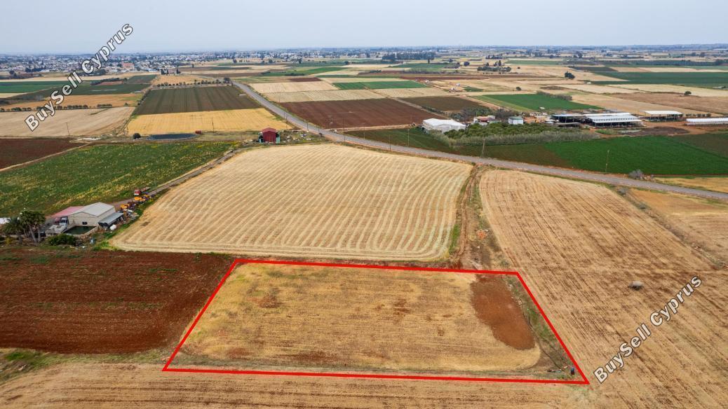 4127 SQM Land for sale in Avgorou, Famagusta 6682477