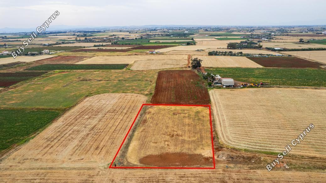 land for sale avgorou famagusta 1850353 image 6682474