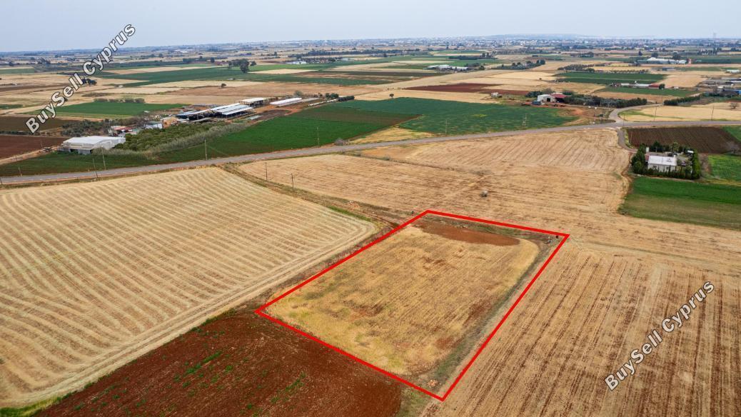 land for sale avgorou famagusta 1850353 image 6682475