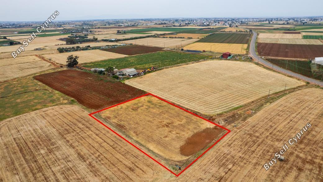 land for sale avgorou famagusta 1850353 image 6682476