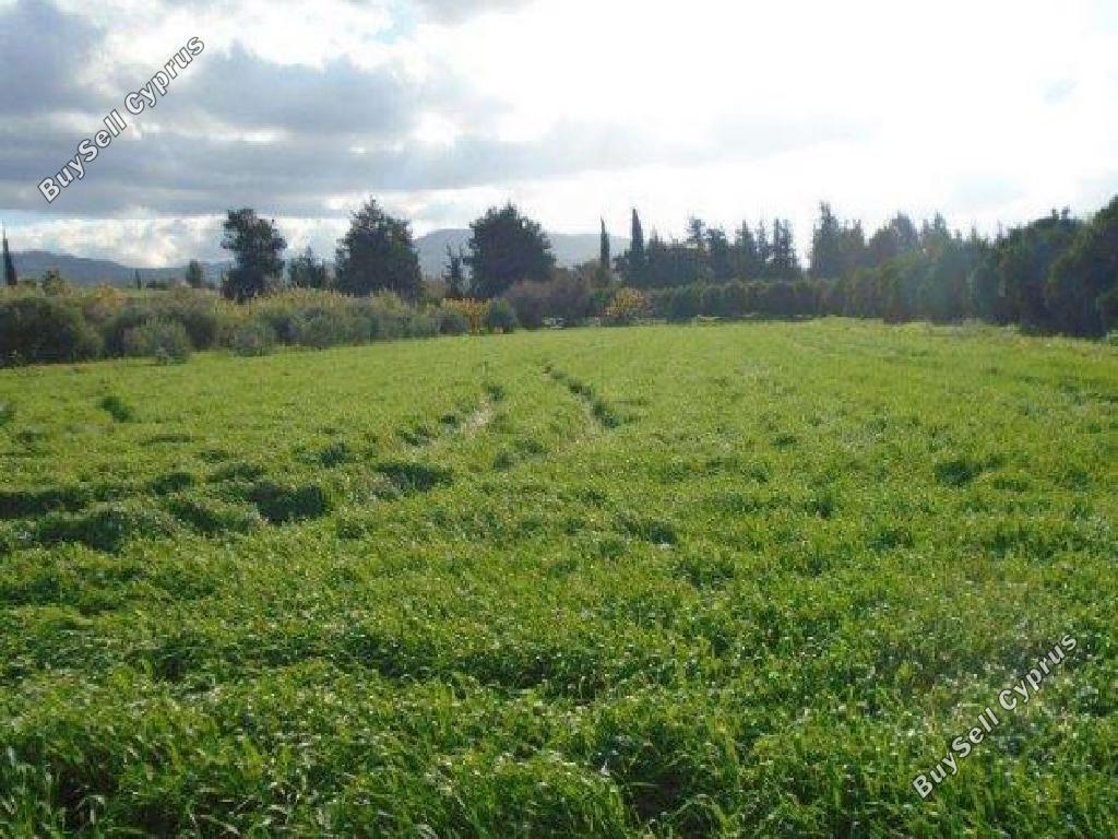 land for sale poli chrysochous paphos 946353 image 15599550
