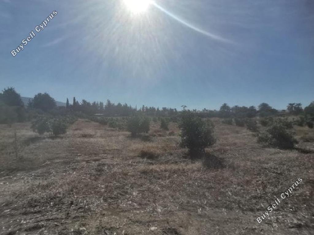 land for sale poli chrysochous paphos 946353 image 17102795