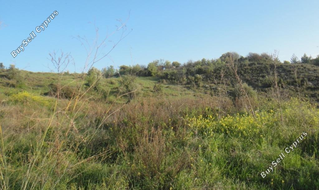 plot for sale pentalia paphos 1681453 image 16182851