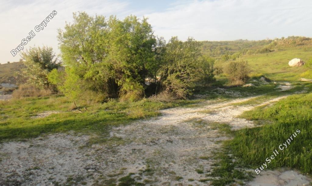 plot for sale pentalia paphos 1681453 image 16182852
