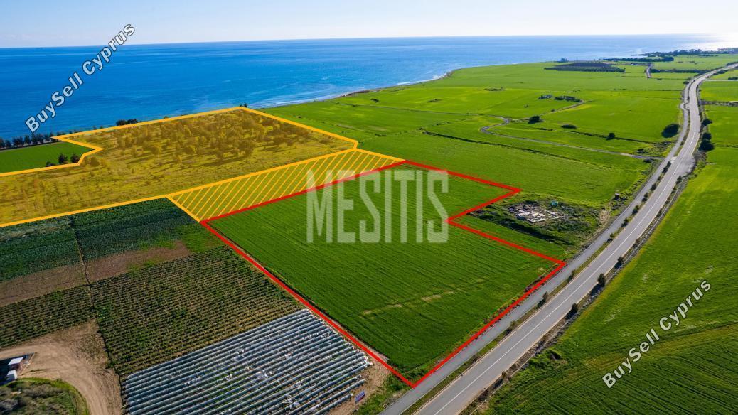 plot for sale softades larnaca 8772553 image 16600383