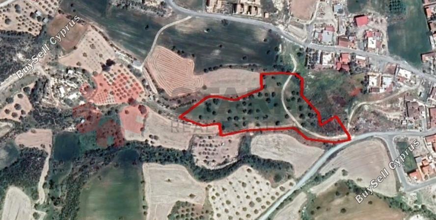land for sale alaminos larnaca 8548653 image 15538452