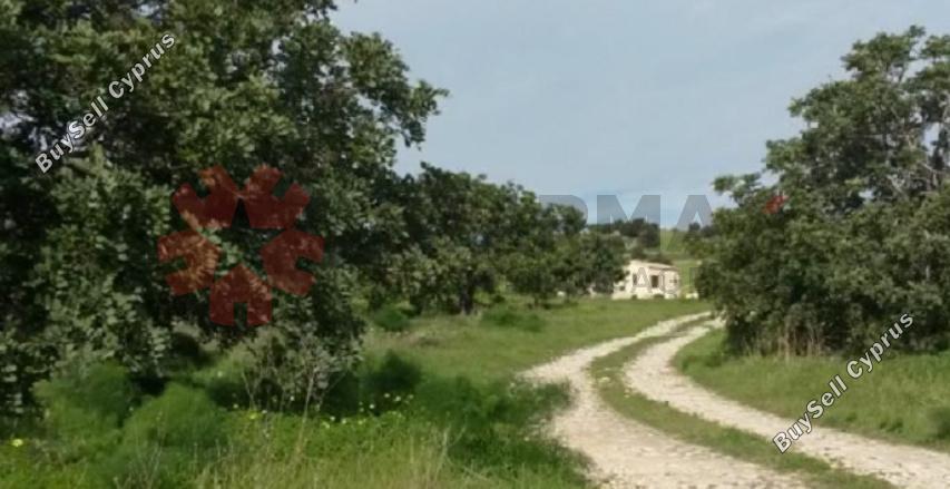land for sale alaminos larnaca 8548653 image 15538453