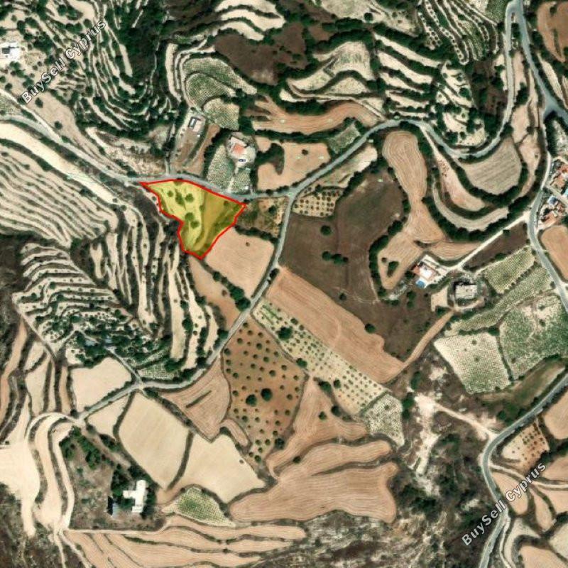 plot for sale koili paphos 1898653 image 14220001
