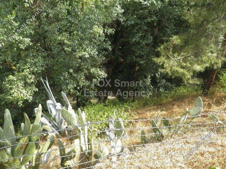 2 bedroom bungalow for sale palaichori morfou nicosia 1152753 image 13502271