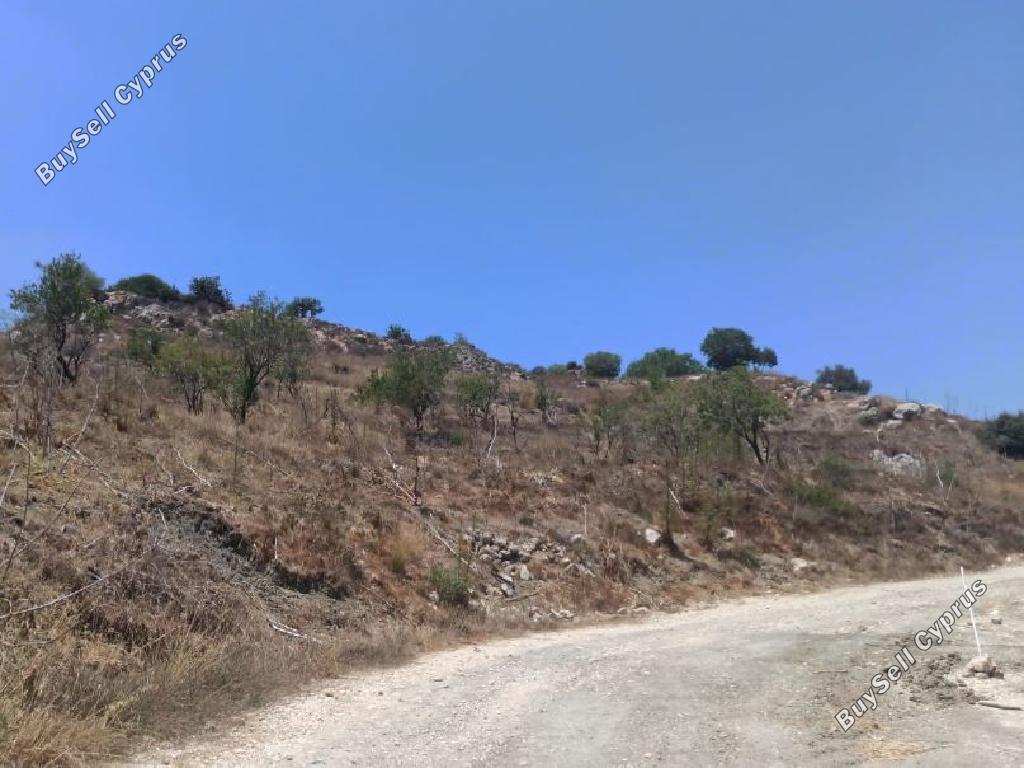 land for sale armou paphos 1877753 image 16009774