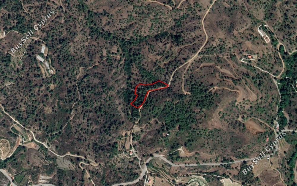 land for sale kato platres limassol 828753 image 11081695