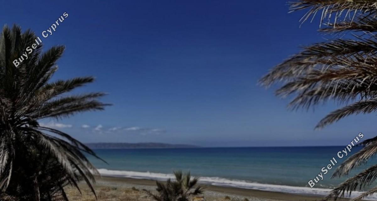 2 bedroom detached house for rent argaka paphos 8821853 image 16945158
