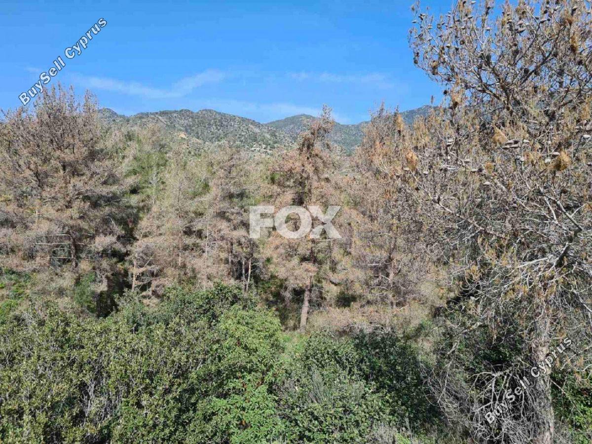 land for sale kalo chorio lemesou limassol 1146853 image 5549463