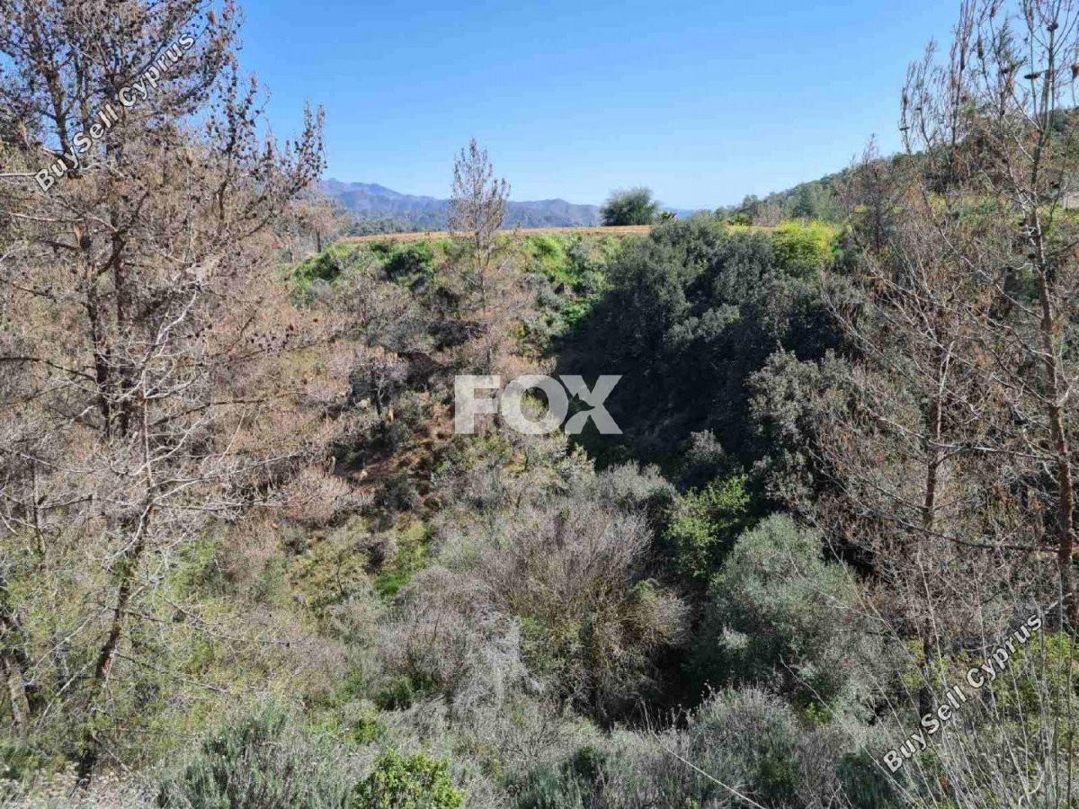 land for sale kalo chorio lemesou limassol 1146853 image 5549465