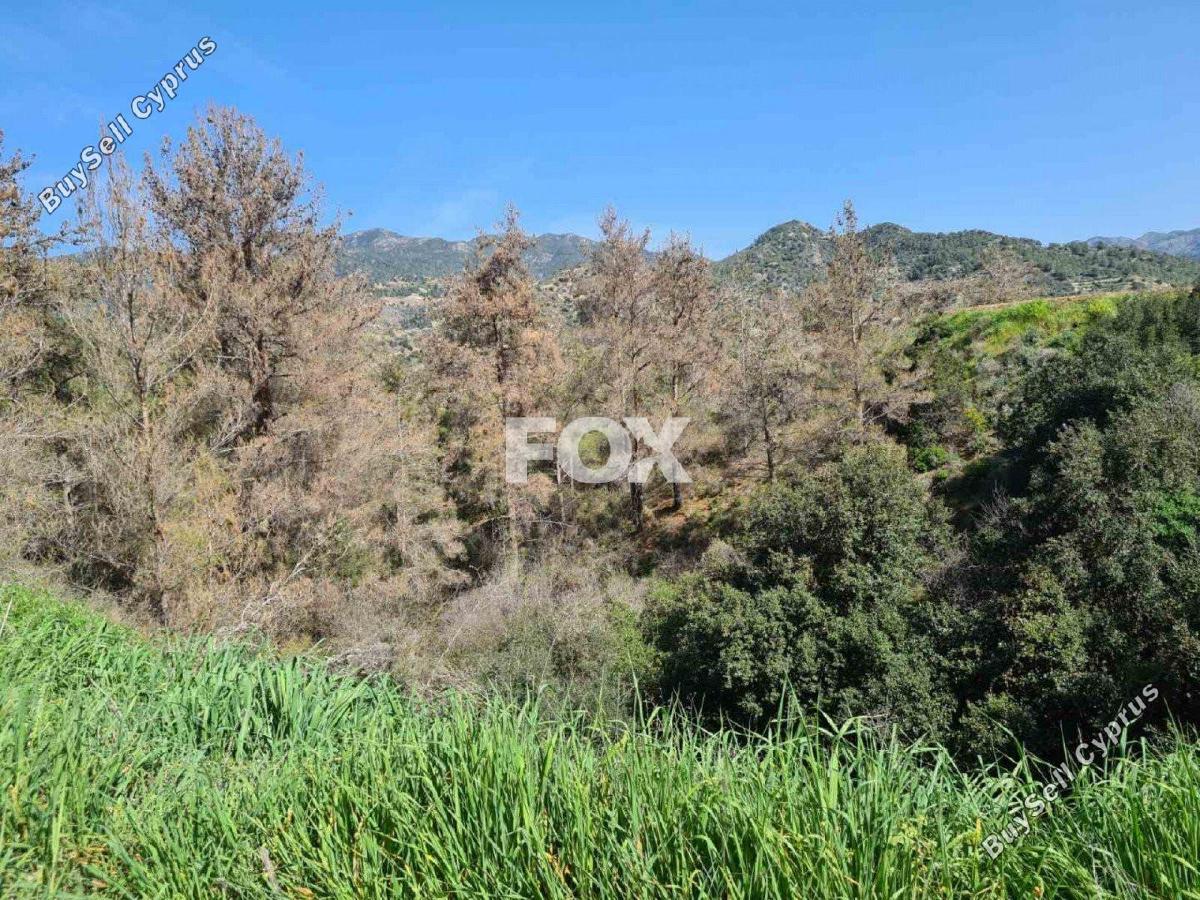 land for sale kalo chorio lemesou limassol 1146853 image 5549468