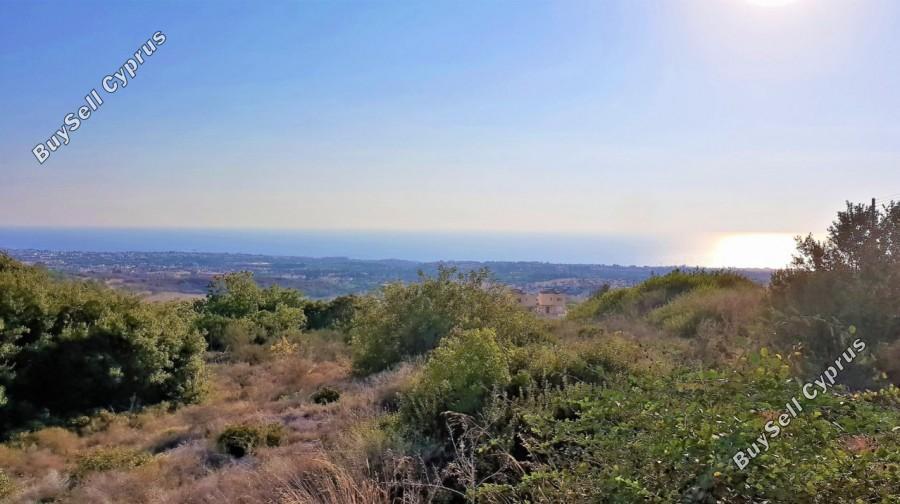 land for sale tala paphos 8813853 image 16873462