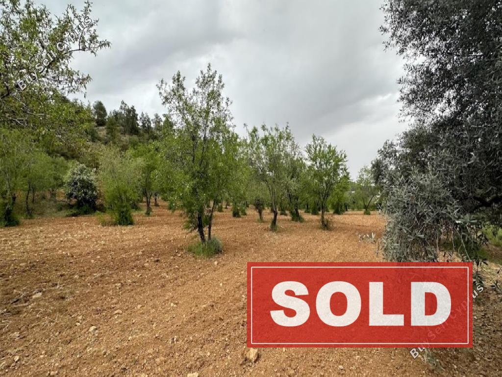 land sold gourri nicosia 8003853 image 12747672