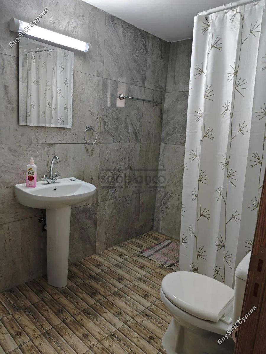 1 bedroom apartment for rent kannaviou paphos 8739953 image 16376694