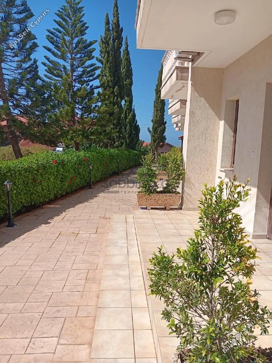 2 bedroom detached house for rent poli chrysochous paphos 8748953 image 16470074