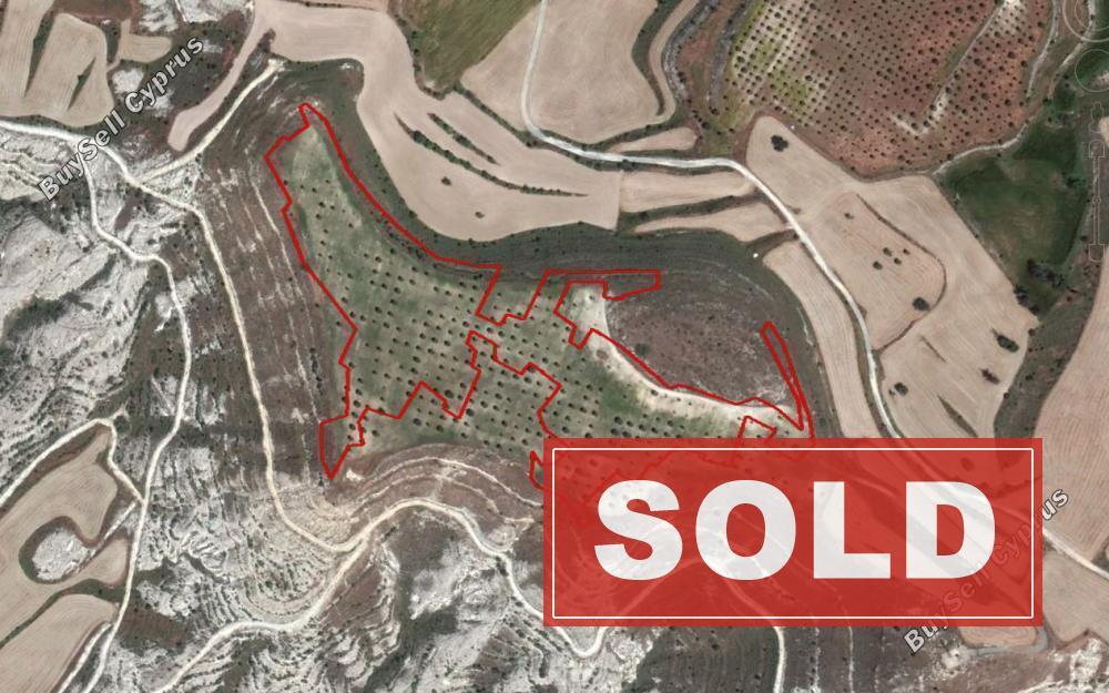 land sold athienou larnaca 830953 image 1056993