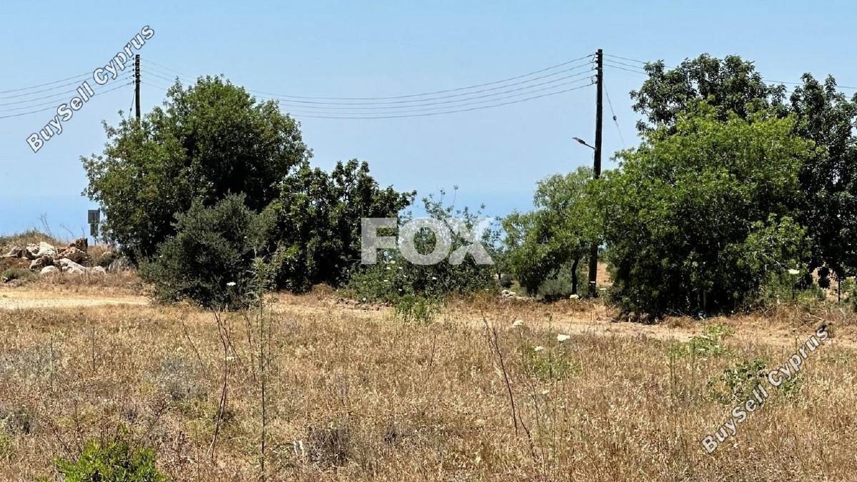 land for sale mesogi paphos 1412063 image 10035597