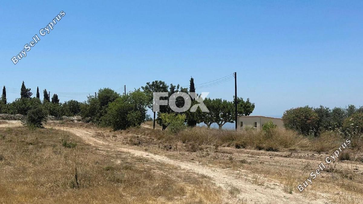 land for sale mesogi paphos 1412063 image 10035601
