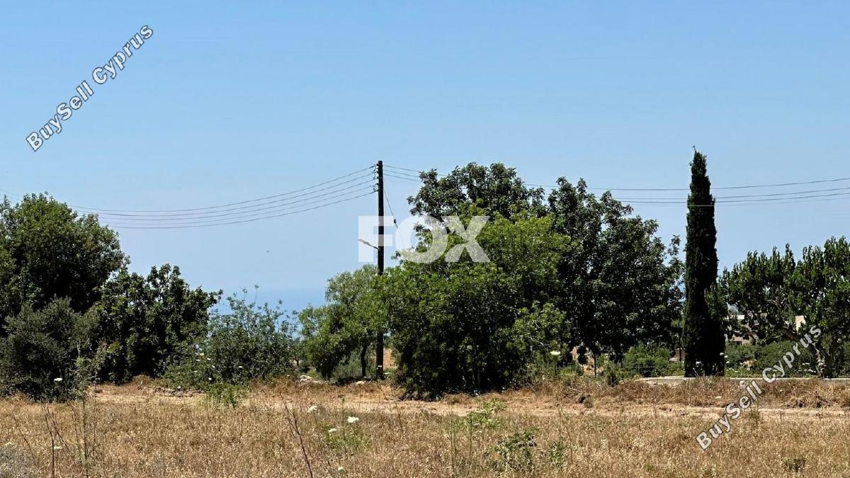 land for sale mesogi paphos 1412063 image 10035604