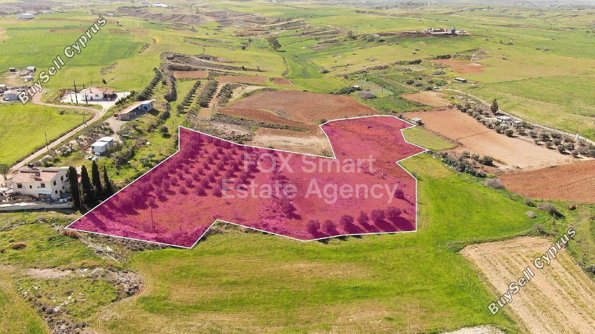 land for sale palaiometocho nicosia 8404063 image 14908153