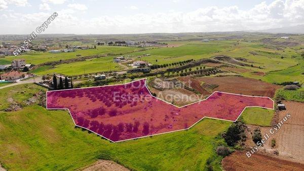 land for sale palaiometocho nicosia 8404063 image 14908155