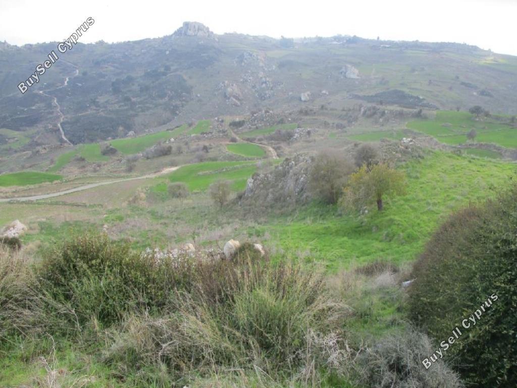 land for sale drousia paphos 946163 image 15599916